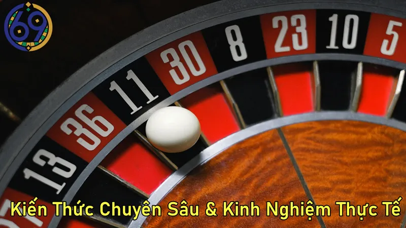 Kiến Thức Chuyên Sâu Và Kinh Nghiệm Thực Tế